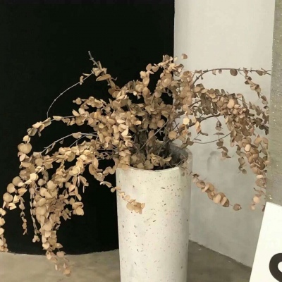 兽设色彩渐变技巧兽圈社群